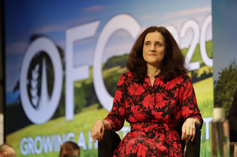 Theresa Villiers