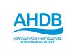 AHDB