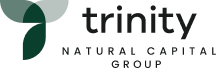 Logo Trinity